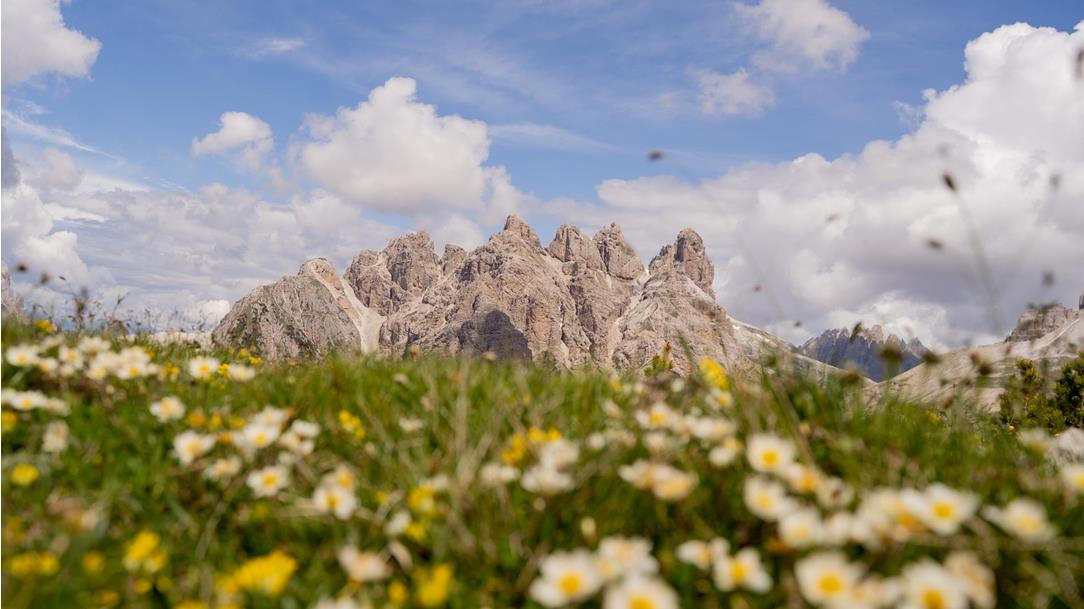 wanderung-drei-zinnen-sextner-dolomiten-suedtirol-juni-sommer-2024-lena-sulzenbacher-01