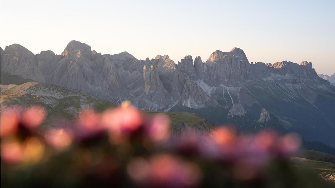 wanderung-grosses-dolomitenkino-schlernhaus-schutzhaus-tschafon-tiers-am-rosengarten-suedtirol-juli-sommer-2025-lena-sulzenbacher-04