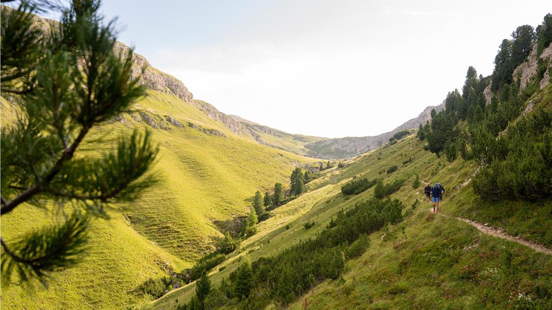 wanderung-grosses-dolomitenkino-schlernhaus-schutzhaus-tschafon-tiers-am-rosengarten-suedtirol-juli-sommer-2025-lena-sulzenbacher-09