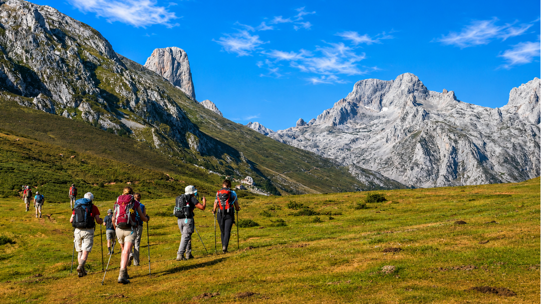 picos-2