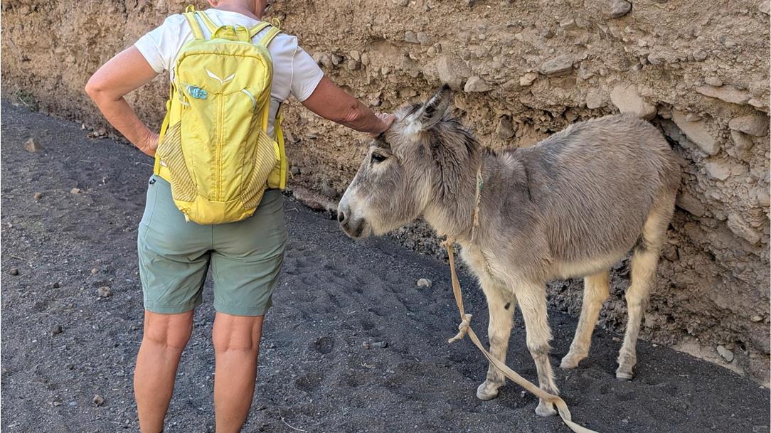 trekking-kapverden-26-mirco-str0100-298