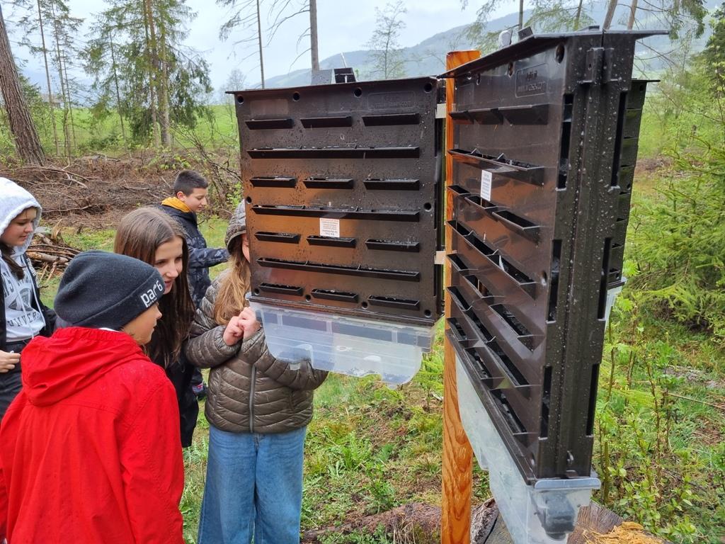 KlimaWissen Toblach (1)
