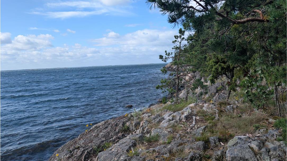 soermlandsleden-wanderreise-schweden-fotos-von-claudia-5