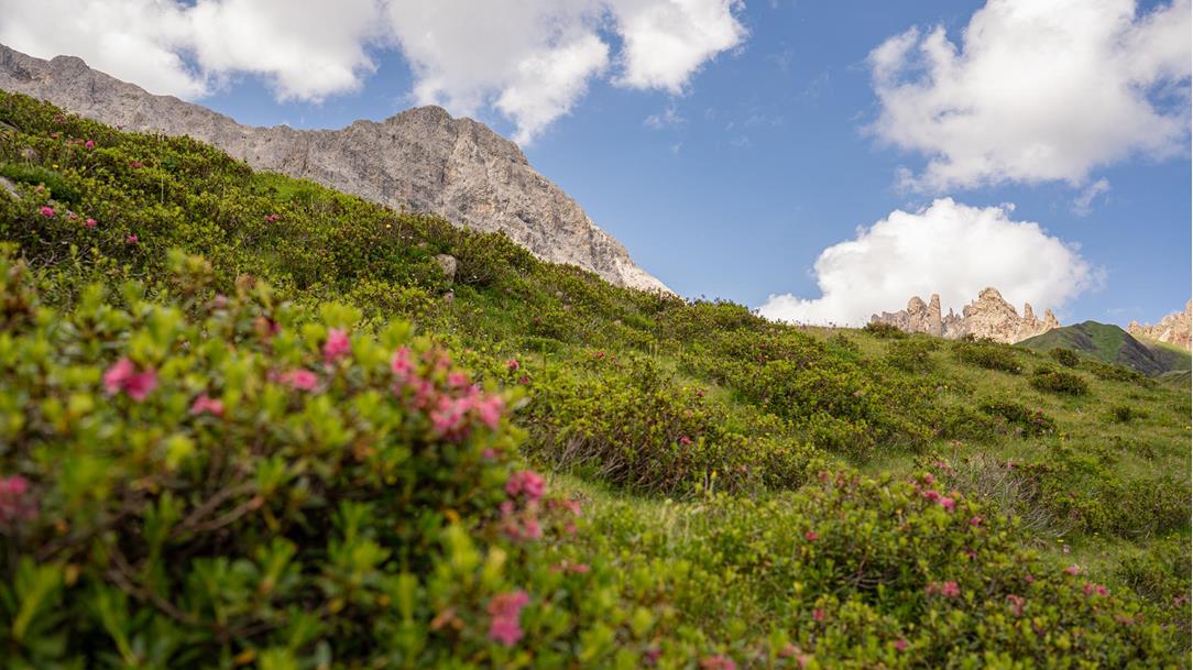 wanderung-val-duron-rosengarten-dolomiten-suedtirol-sommer-2025-lena-sulzenbacher-05