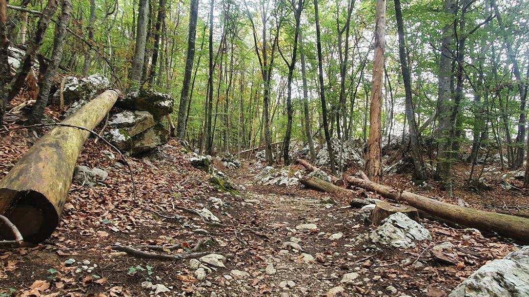 wandern-trentino-via-imperiale-pixby-wanderfuehrer-andreas