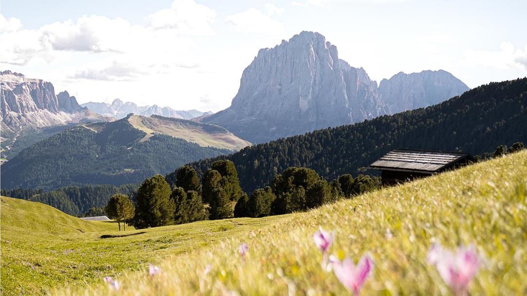 wanderung-langkofel-dolorama-weg-groeden-dolomiten-suedtirol-september-sommer-2021-lena-sulzenbacher-01