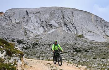 Wild Trail Moltina. E-Bike