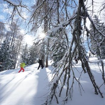 Settimana di scialpinismo Großarl