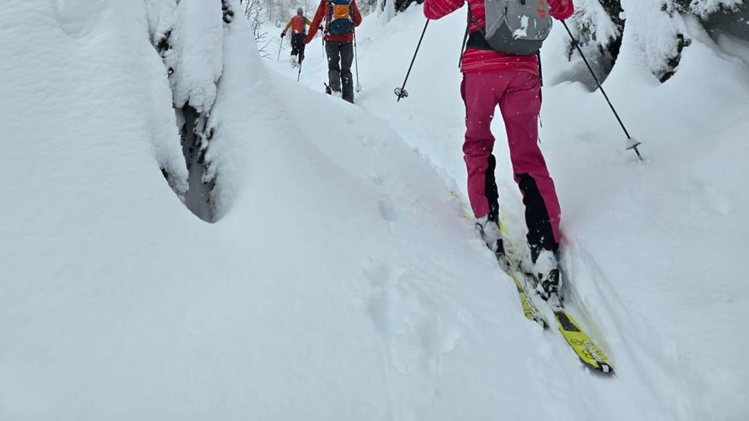 follow-the-snow-1