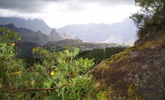 Trekkingreise La Reunion / tropische Bergwelt