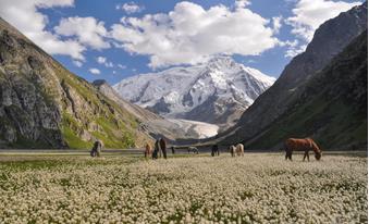 Trekkingreise Kirgistan - Patagonien Asiens