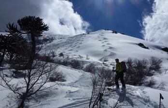 Skitouren CHILE - Firngenuss auf Vulkanhängen