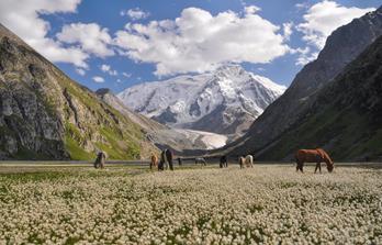 Trekkingreise Kirgistan - Patagonien Asiens