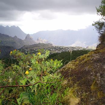 Trekkingreise La Reunion / tropische Bergwelt