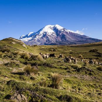 Trekkingreise Ecuadors Vulkane