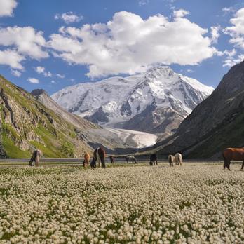 Trekkingreise Kirgistan - Patagonien Asiens