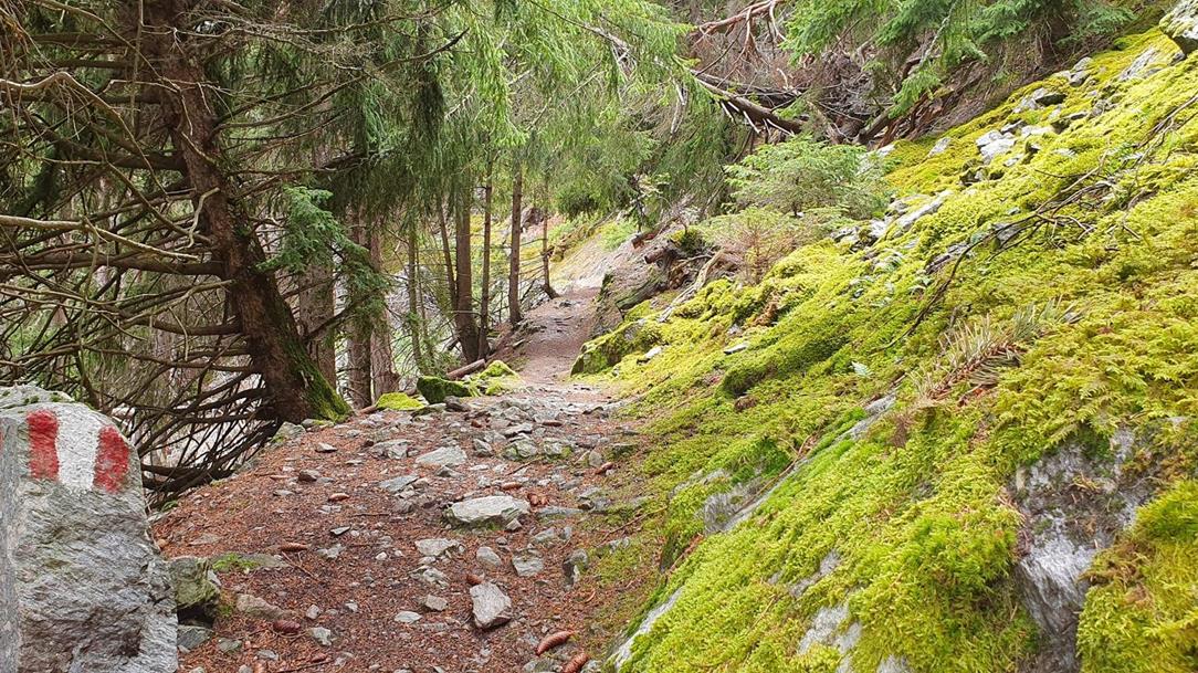 archaikweg-kulturelle-wanderung-suedtirol-pixby-wanderfuehrer-andreas-pittl