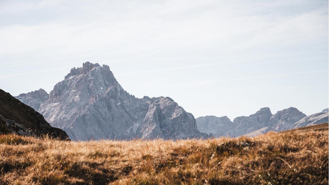 wanderung-almrosen-karnischer-hoehenweg-heimkehrerkreuz-sillianer-huette-sextener-dolomiten-osttirol-juli-sommer-2024-lena-sulzenbacher-30