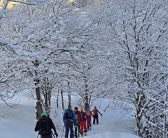Val Stura - Piemont Februar 2026