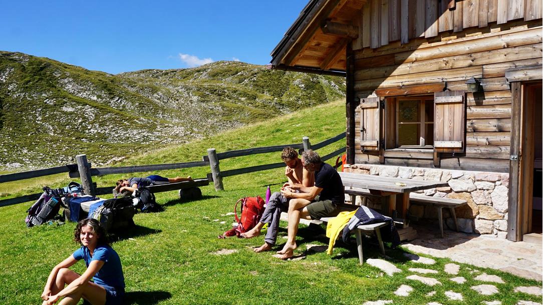 Taking a break in the sun