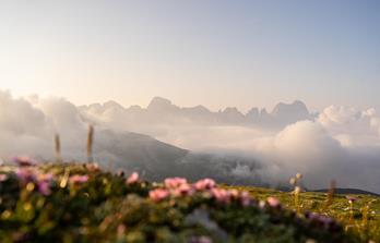 Wanderreise SAGENHAFTER ROSENGARTEN - Dolomiten