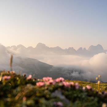 Wanderreise SAGENHAFTER ROSENGARTEN - Dolomiten