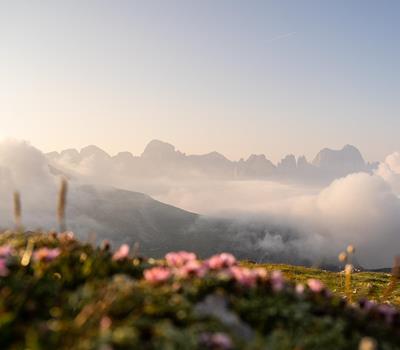 sonnenaufgang-wanderung-monte-petz-schlern-schlernhaus-seiser-alm-rosengarten-dolomiten-suedtirol-sommer-2024-lena-sulzenbacher-01